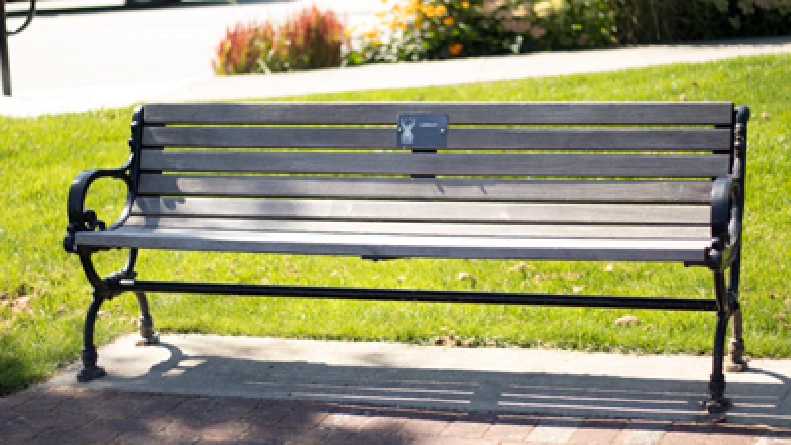 Wooden bench with iron fixtures set on the side of a path in a park.