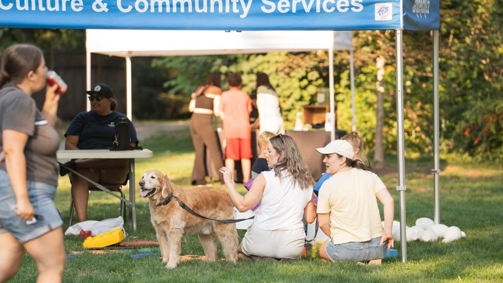 dog at Social Streets