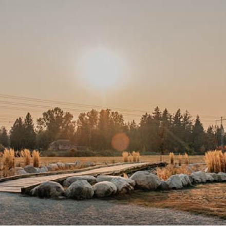 Scenic sunset with trees in the background. There is a paved path in the foreground surrounded by rocks an a large, open field.