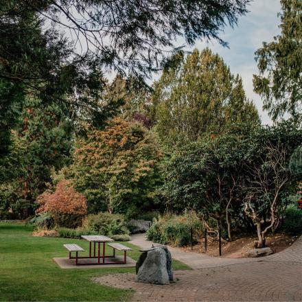 Scenic view of Sendall Gardens trail. There are trees and a paved trail that leads to a picnic table.