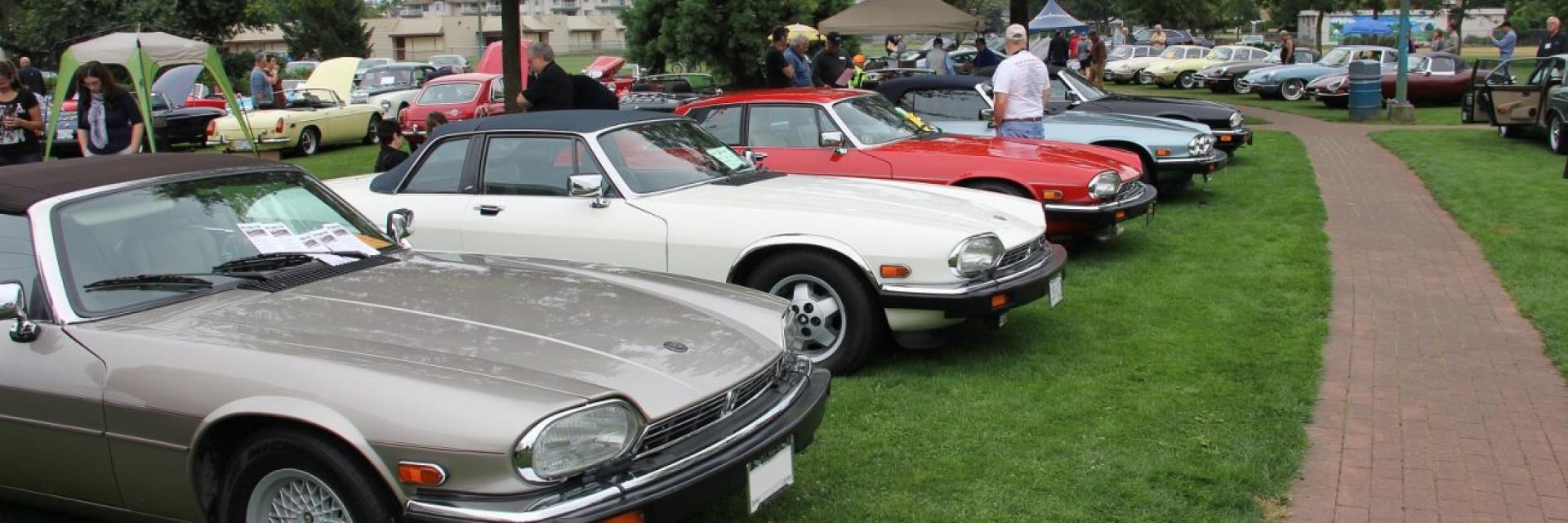 classic jaguar cars