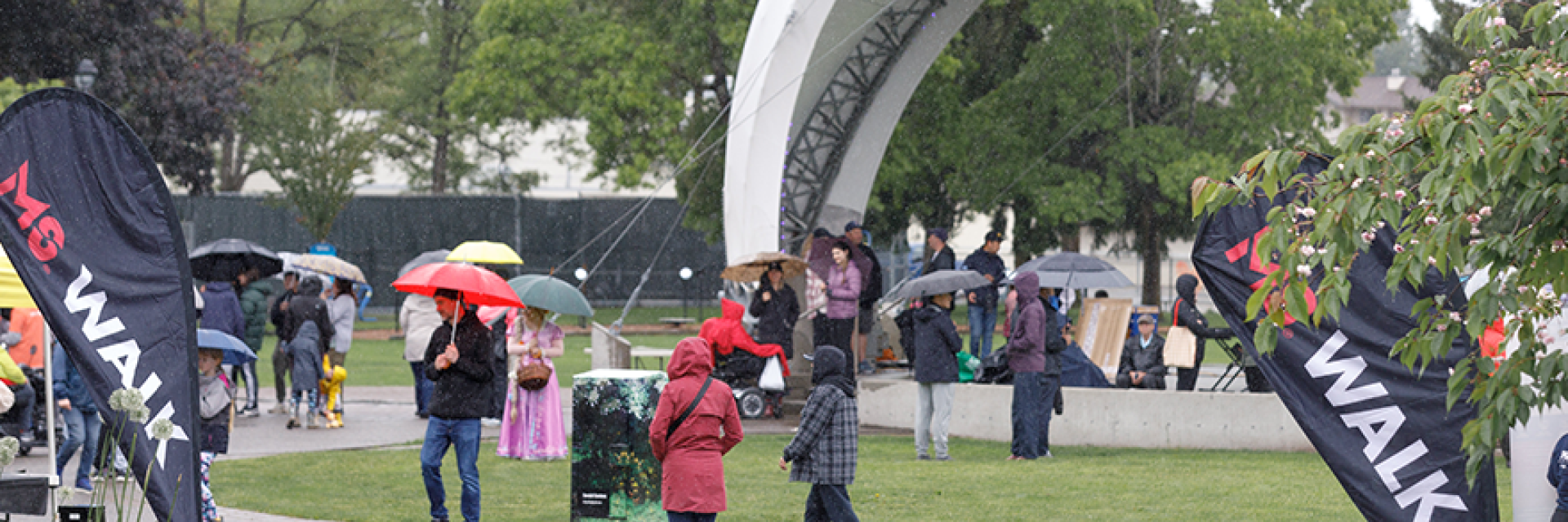 People gathered in a park for the MS Walk.