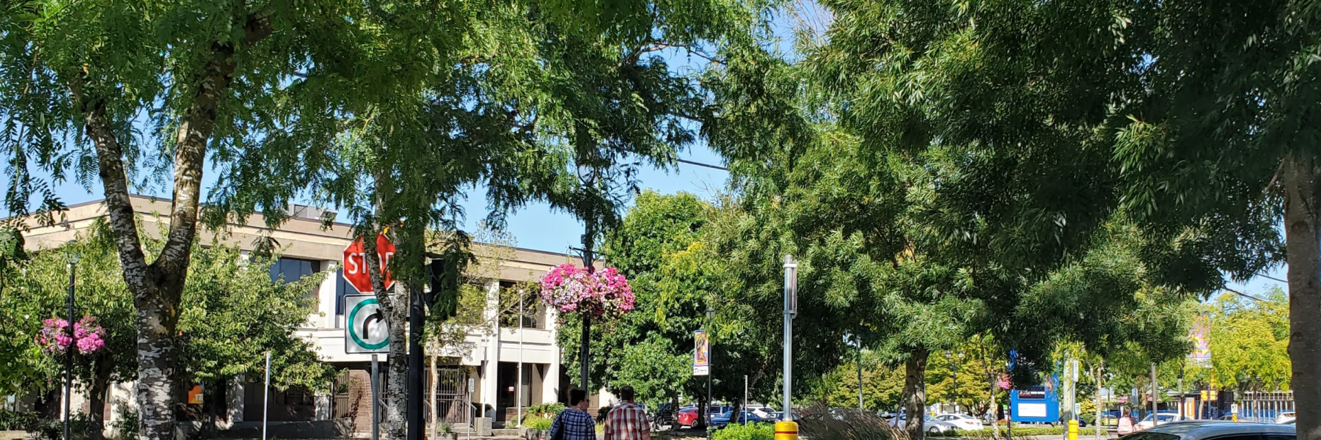 Trees and people walking