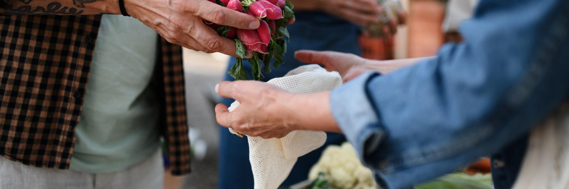 handing over radishes at a farmers market