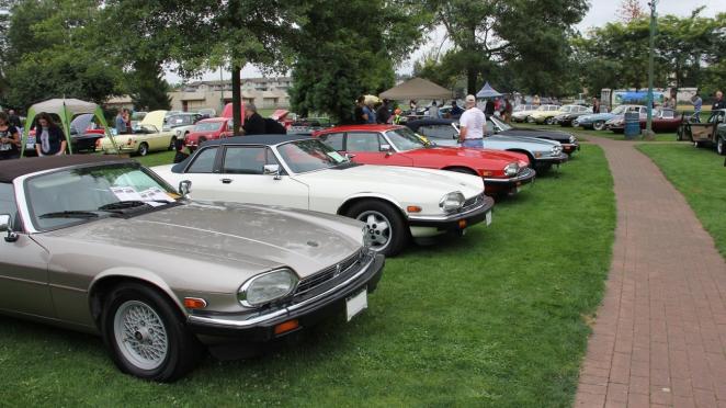 classic jaguar cars