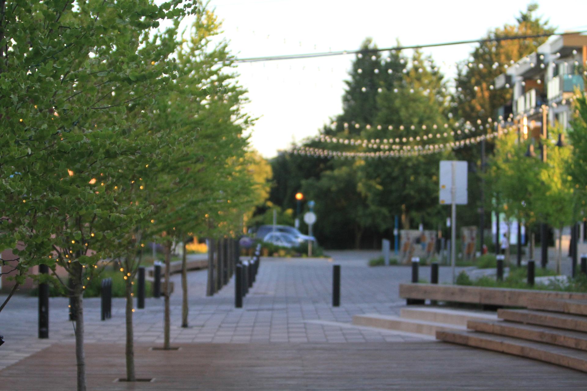 Langley street