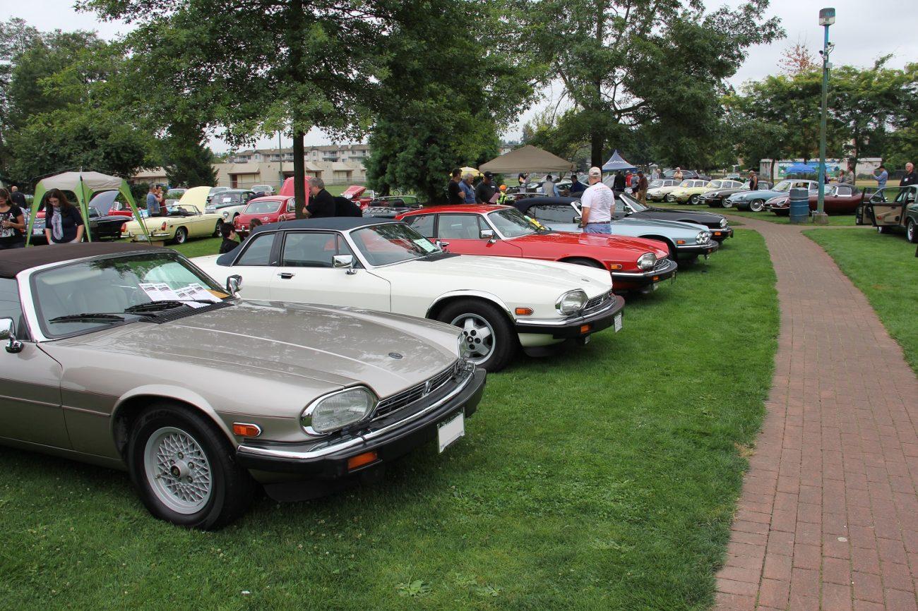 classic jaguar cars