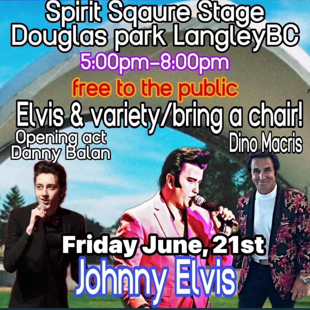 Johnny Elvis poster